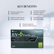 EV6FORTE